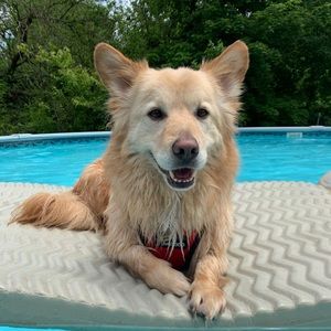 Meet your Posher, Katelyn